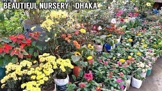 Beautiful Nursery on The Roadside | Dhaka