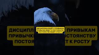 Постоянство вёдёт к росту! #характер #силаволи #дисциплина #уверенность #рост #привычки