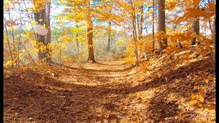 Riding boosted boards and flying drones to search for Fall Colors in NE