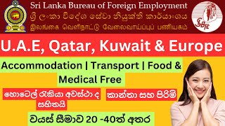 Foreign Vacancies 2023 |Hotel Vacancies | UAE | Qatar | Kuwait | Europe