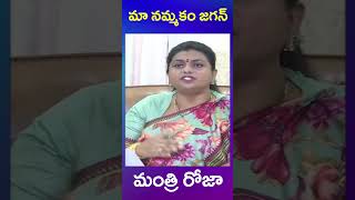 ys jagan | tdp | cbi | mahanadu | roja