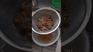 Making syrup from Prickly Pear cactus  fruits. #ontario#pricklypear#foraging