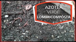 Azotea verde: Lombricomposta