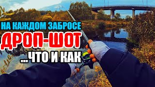 ДРОП - ШОТ. Как Ловить МНОГО? Делюсь ОПЫТОМ. #дропшот #рыбалка #fishing #окунь #спиннинг