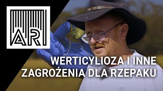 Werticilioza i inne zagrożenia dla rzepaku – jak skutecznie je zwalczać? || AR #223