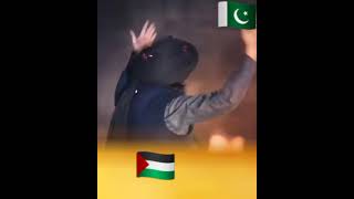 Saad Rizvi ka Pyary andaz my Labaik ky Nary | khatm-e-Nabuwat #tajdar_e_khatam_e_nabowat_zindabad |