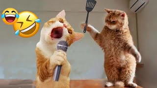 You Laugh You Lose😺🐶Funniest Dogs and Cats 2024😺🐶