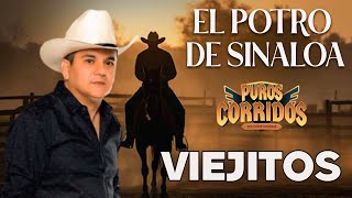 EL POTRO SINALOA - PUROS CORRIDOS VIEJITOS - Las Canciones que Definieron su Éxito"