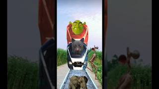 Sirenhead,bear,cat & elephant vs funny head train-vfx shorts video#shorts#bear#cat#elephant#omvfx...