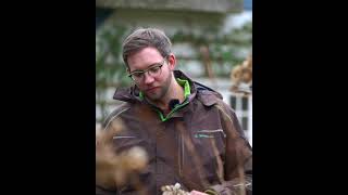 Hortensien rückschneiden I Gartenträume Momsen