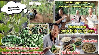 Manen pokak langsung masak oblok-oblok || Bikin selera Nambah nasi  terus⁉️