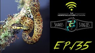 Snakes & Stogies Ep. 135 | Protobothrops & Beyond with Dr. Kevin Messenger