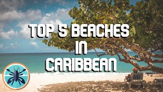 Top 5 Caribbean Beaches: Discover Paradise in the Tropics!