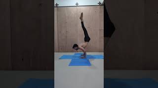 Yogasan Video.