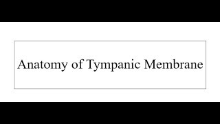 Anatomy of Tympanic Membrane