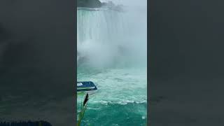 Did you see Niagara Falls Canada?#niagarafalls #canada #shorts #hindi #trending #shortsvideo #travel