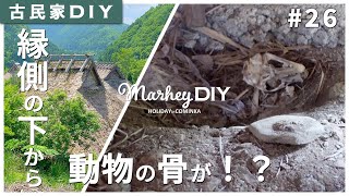 【古民家DIY】縁側を解体したら動物の骸骨が出てきました #26