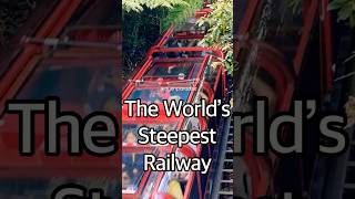 Katoomba Scenic Railway - The World’s Steepest Railway #sydney #australia #shorts #adventure