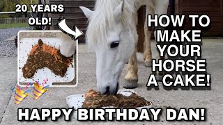 Dan’s 20th Birthday // Making A Horse Cake