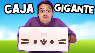 Abrimos Una Caja Gigante y Misteriosa con Lyna !!