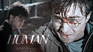 Harry Potter || Human