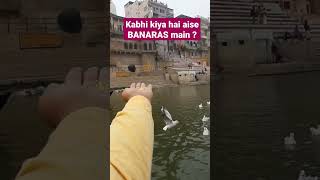 😍😍Mera Kashi.🤩 BANARAS Ki wo shaam #viral #reels #shorts #trending #vlog #shortvideo #shortsvideo