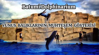 YUNUS BALIKLARININ MUHTEŞEM GÖSTERİSİ (Batumi Dolphinarium) AMAZING DOLPHIN SHOW