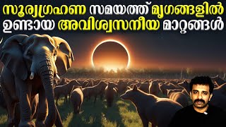 Its Really Shocking: Total Solar Eclipse & Animals || Bright Keralite