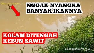 NGGAK NYANGKA DIKOLAM INI ADA IKANNYA || KOLAM DI TENGAH2 KEBUN SAWIT @NengChilaChilatoz