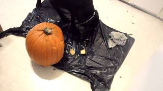 labs will eat anything! buck helping us clean up after carving the pumpkin at halloween!