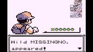 Missingno glitch in Pokemon Red