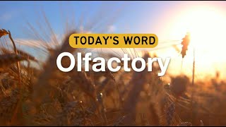 Today's Word - Olfactory | Daily Inspiration | Word of The Day