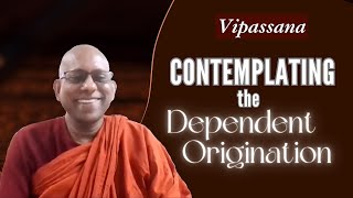 Contemplating the Dependent Origination—Vipassīsutta SN 12 4