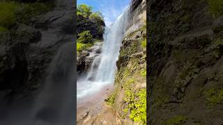 "Nature’s best playground Watching these little explorers in awe of the waterfall and pure beauty.