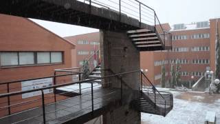 Nieve en el campus  de Cuenca (11.02.2014)