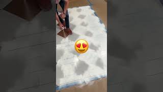 This Guy Painted a Rug on Hardwood Flooring...