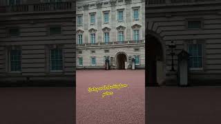 Look who is walking!!Buckingham palace sentry walk #london #buckinghampalace#shorts