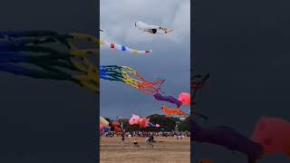 Kite festival #shorts