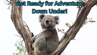 Discover Australia: Top Destinations, Culture, and Must-Try Foods! #travel #travelguide #australia