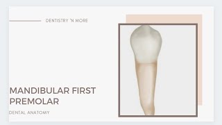 MANDIBULAR FIRST PREMOLAR