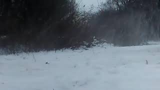 Minibike in snow