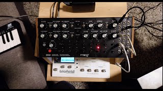 MOOG DFAM solo - exploring the machine.