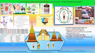 1.10.3 ส่วนขยายความรู้คาถายอดพระกัณฑ์ไตรปิฎก สำหรับผู้ฝึกใหม่ บทสวดที่6 ธาตุ6