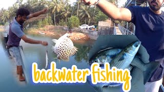 🐠MULLET fish || Scatophagus argusFish || backwater fishing 🎣