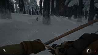 THE LONG DARK: What if the cougar was a visible foe