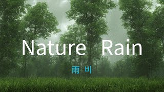 【心灵放松】深度睡眠、夏季下雨声、助眠自然声音、学习环境白噪音、ASMR立体声、冥想松弛、农家小院、乡村生活 | Rain、White noise