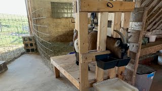 Building a Goat Milking Stand | Swamp Valley Goats