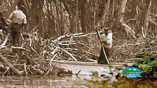 Corpamag Campaña Cambio Climático-Protección de mangle