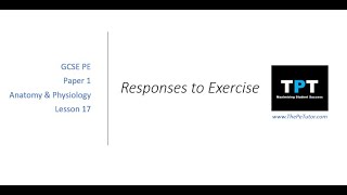 GCSE PE - Effects of Exercise