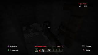 JUGANDO AL MINECRAFT [MINECRAFT PARA POBRES]